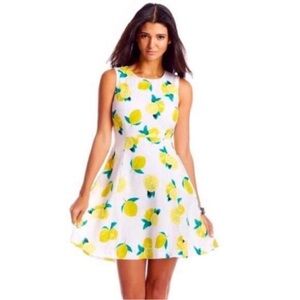Cynthia Rowley Linen Fit & Flare Lemon Print Dress Size 14 NWT